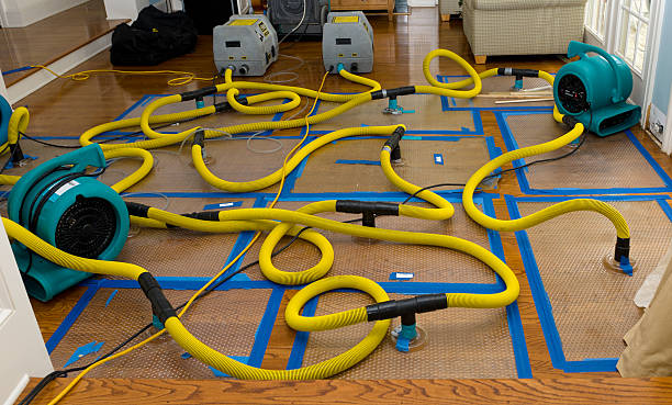 Professional Flood Damage Restoration technician working in East Ellijay, GA